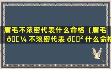 眉毛不浓密代表什么命格（眉毛 🐼 不浓密代表 🌲 什么命格男）